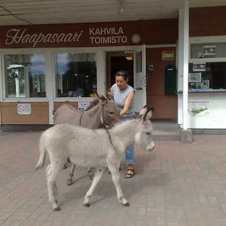 Haapasaaren Lomakyla 3* Ruovesi